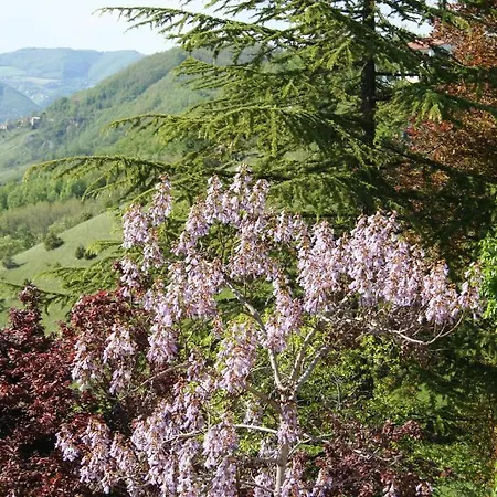 Hotel Il Crinale Hotel